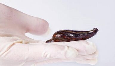 A'zoning ko'payishi uchun leech kremi